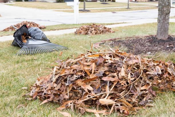 Neat raked pile of dried brown fall leaves or foliage on a mowed lawn in a neighbourhood garden with a rake visible behind on the grass
